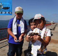 神戸市立平磯海づり公園　サビキでアジ
