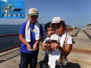 神戸市立平磯海づり公園　サビキでアジ