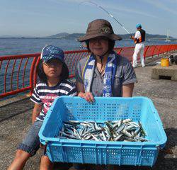 平磯海釣り公園　サビキでアジ・イワシの釣果