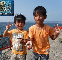 神戸市立平磯海づり公園　サビキでアジ、イワシ