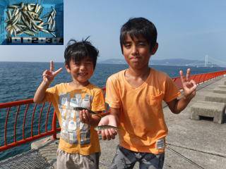 神戸市立平磯海づり公園　サビキでアジ、イワ…