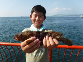 神戸市立平磯海づり公園　ウキ釣りでアコウ