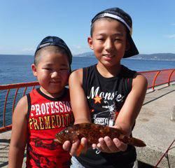 神戸市立平磯海づり公園　投げ釣りでアコウ