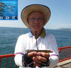 神戸市立平磯海づり公園　投げ釣りでベラ、キス