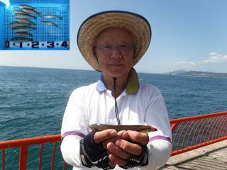 神戸市立平磯海づり公園　投げ釣りでベラ、キ…