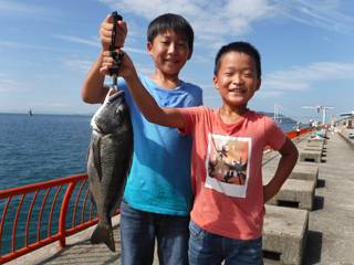 神戸市立平磯海づり公園　チヌ 	42㎝