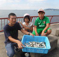 神戸市立平磯海つり公園　サビキでアジ、イワシ