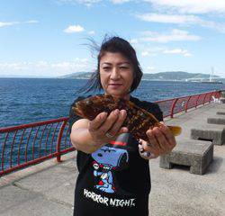 神戸市立平磯海づり公園