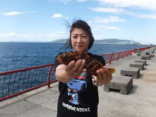 神戸市立平磯海づり公園