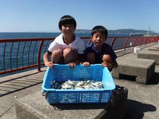 神戸市立平磯海づり公園　サビキでアジ、イワ…