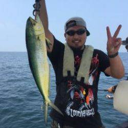 シーマジカル 釣果