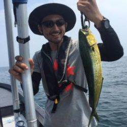 シーマジカル 釣果