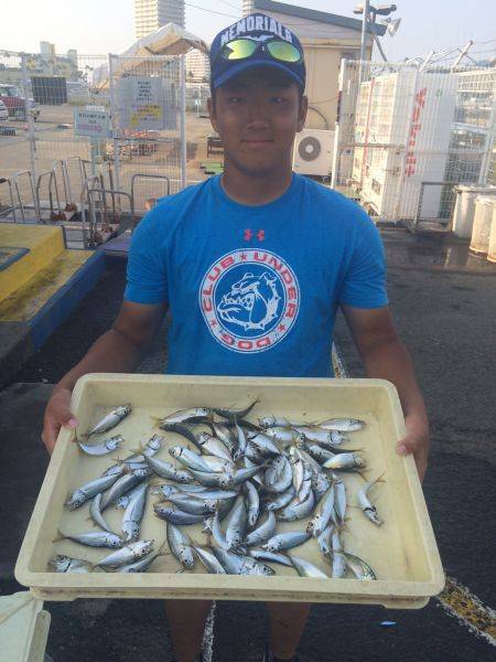 和歌山マリーナシティ海洋釣り堀　サビキでア…