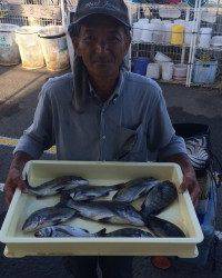 和歌山マリーナシティ釣り公園 釣果