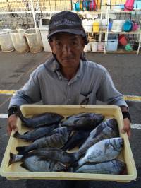 和歌山マリーナシティ釣り公園 釣果
