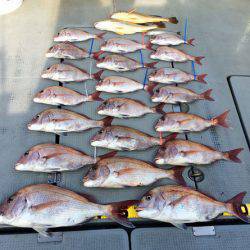 さんさん丸 釣果