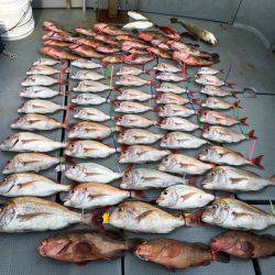 さんさん丸 釣果