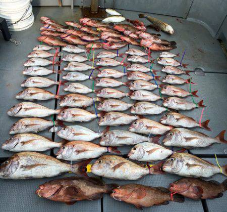 さんさん丸 釣果