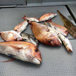 さんさん丸 釣果
