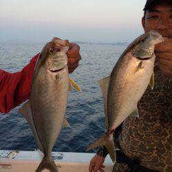 Blue.win 海人丸 釣果