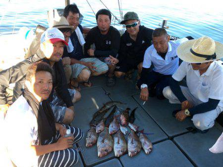さんさん丸 釣果