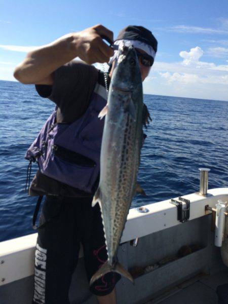 Blue.win 海人丸 釣果