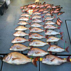 さんさん丸 釣果