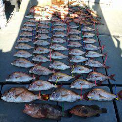 さんさん丸 釣果