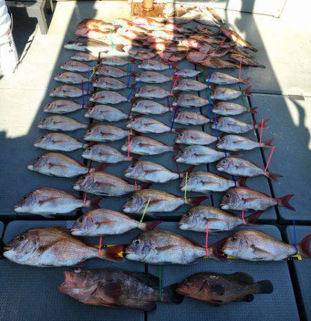 さんさん丸 釣果