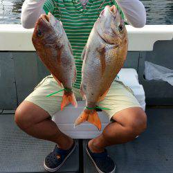 さんさん丸 釣果