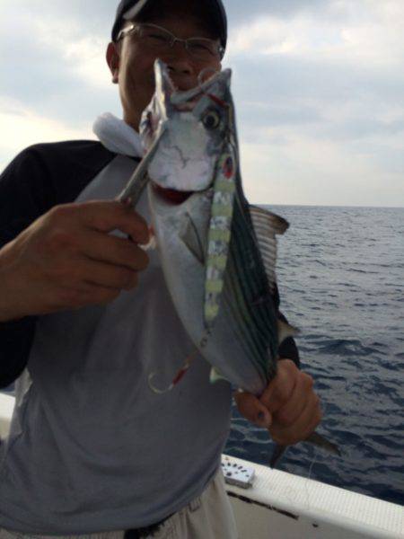 Blue.win 海人丸 釣果