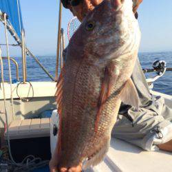 Blue.win 海人丸 釣果