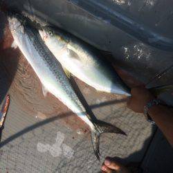 Blue.win 海人丸 釣果