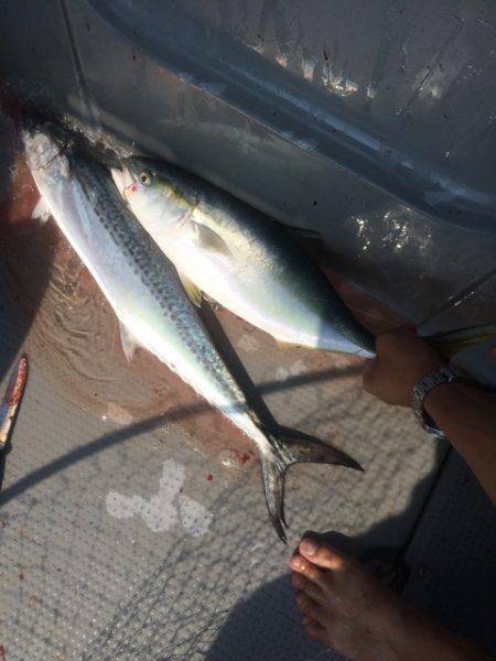 Blue.win 海人丸 釣果