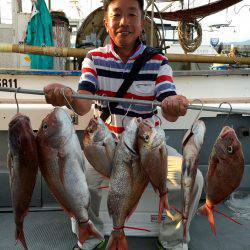 さんさん丸 釣果