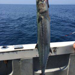 Blue.win 海人丸 釣果