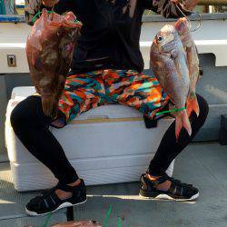 さんさん丸 釣果