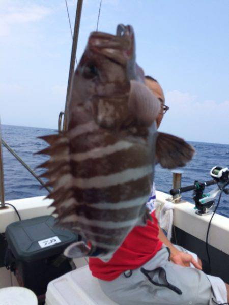 Blue.win 海人丸 釣果