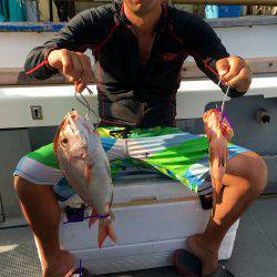 さんさん丸 釣果