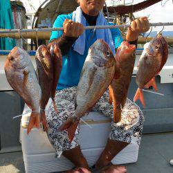 さんさん丸 釣果