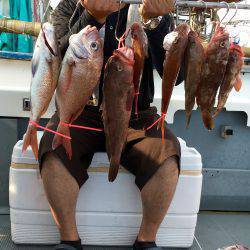 さんさん丸 釣果