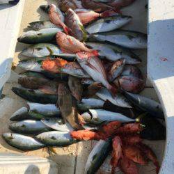 第七はやと （旧 満寿丸） 釣果