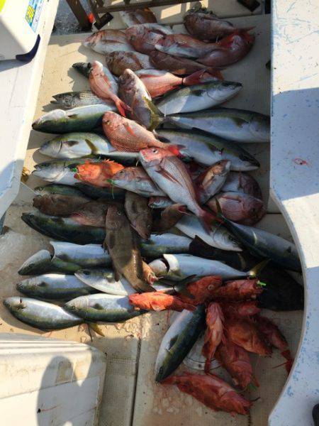 第七はやと （旧 満寿丸） 釣果