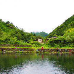 小菅トラウトガーデン 釣果