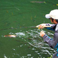 小菅トラウトガーデン 釣果