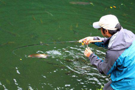 小菅トラウトガーデン 釣果