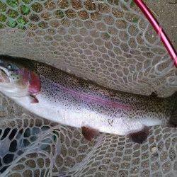 高萩ふれあいの里フィッシングエリア 釣果