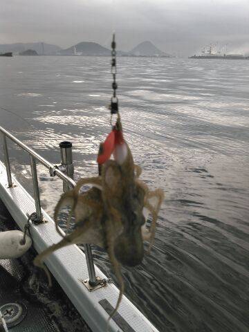 フィッシングガイド りょう 釣果