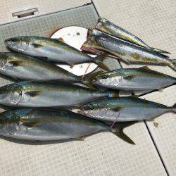 ふじしめ丸 釣果