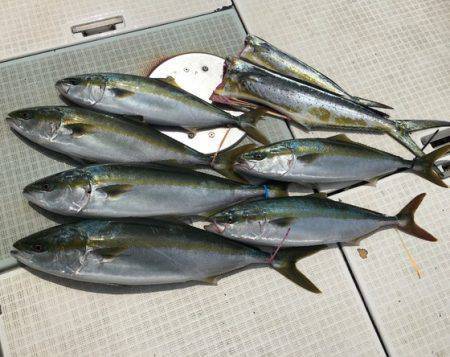 ふじしめ丸 釣果